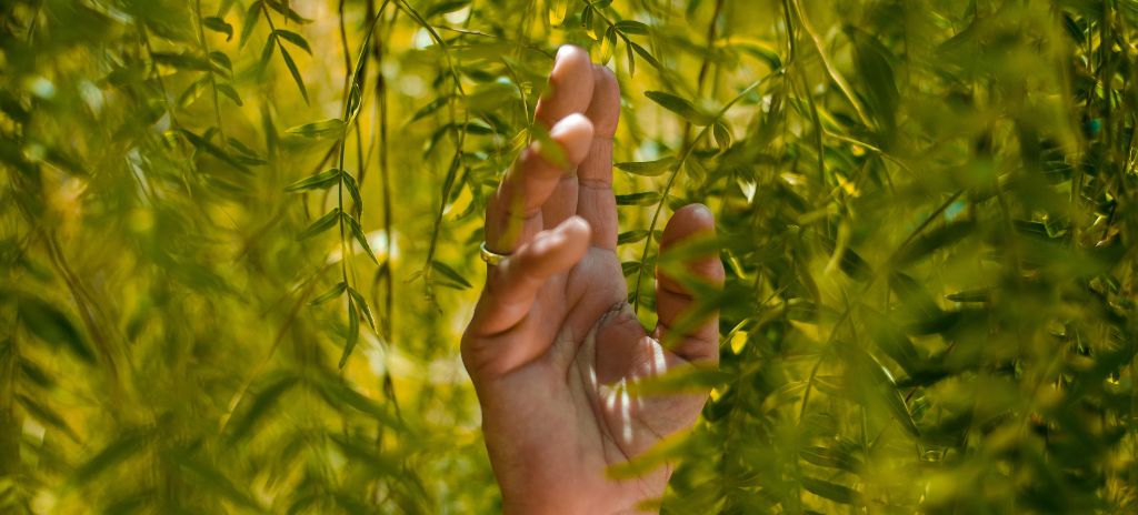 Celebrate Earth Day Every Day