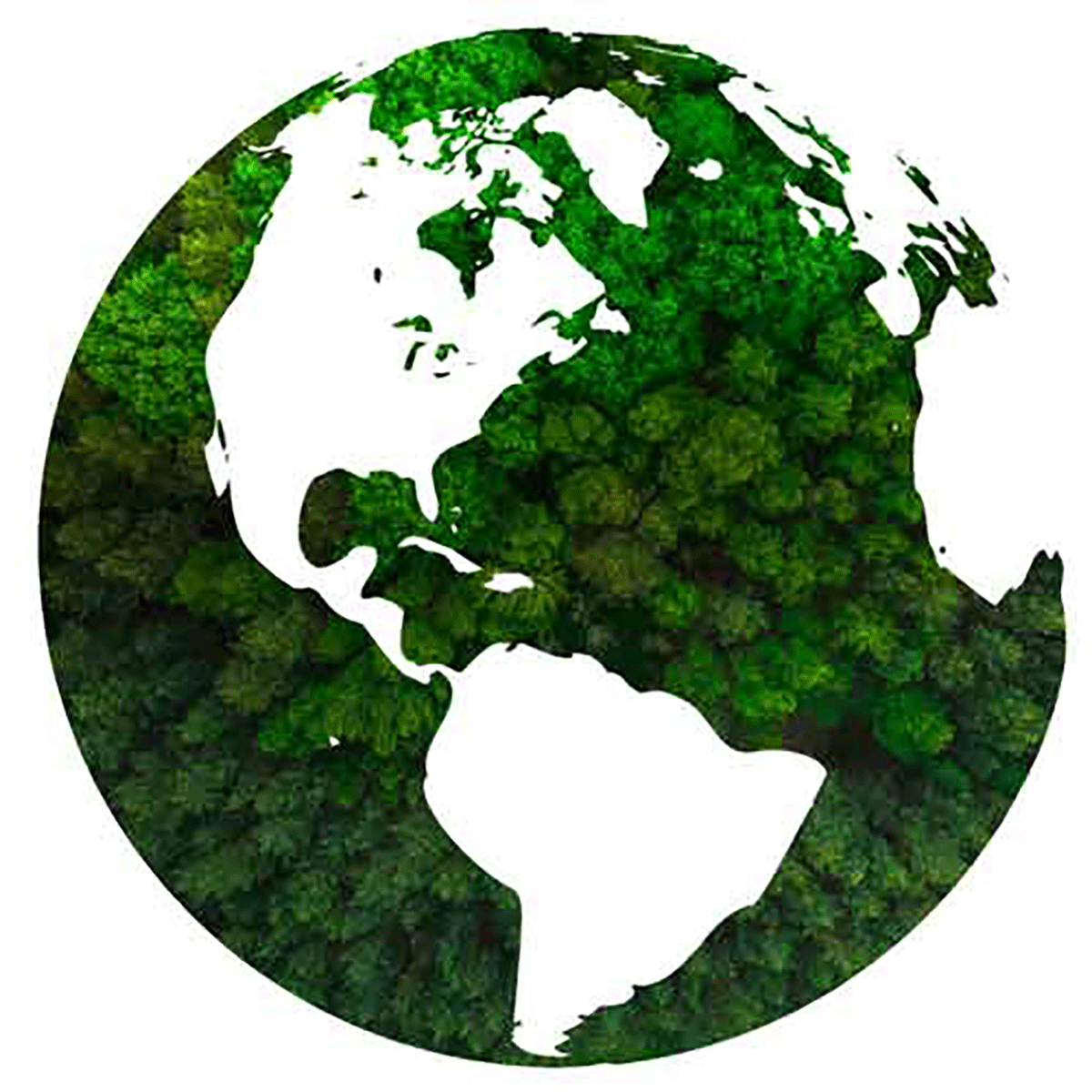 Our Carbon Neutral Initiatives.