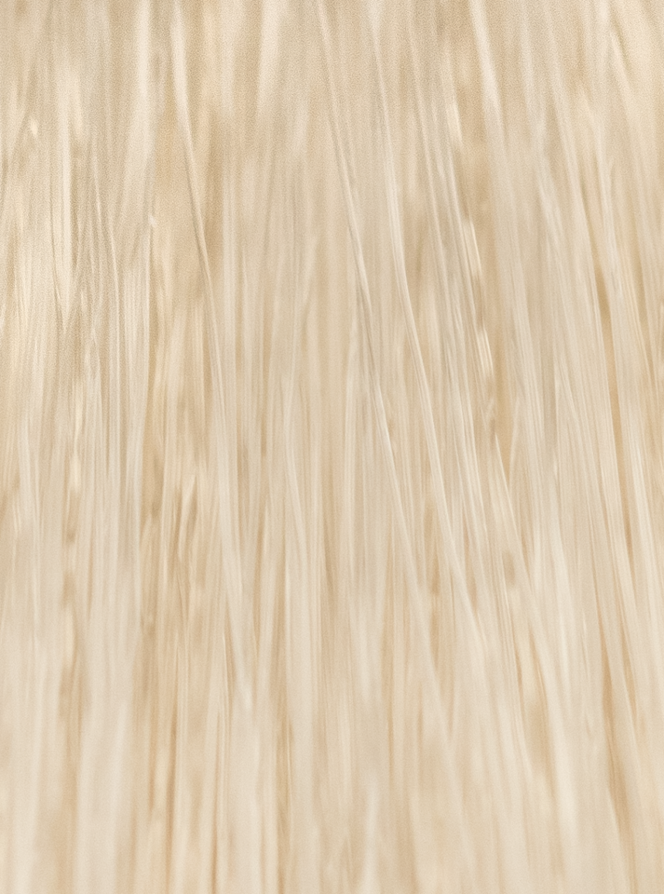 InSight Professional INCOLOR Hydra-Color Super-Lighteners 3.4 Fl. Oz. / 100 mL