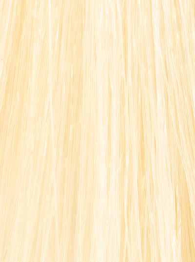 InSight Professional 90.0- Natural Super Bleaching Blonde 3.4 Fl. Oz. / 100 mL
