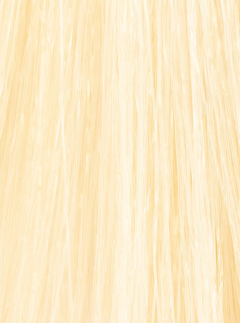 InSight Professional 90.0- Natural Super Bleaching Blonde 3.4 Fl. Oz. / 100 mL