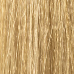 InSight Professional 11.11- Platinum, Deep Ash Blonde 3.4 Fl. Oz. / 100 mL