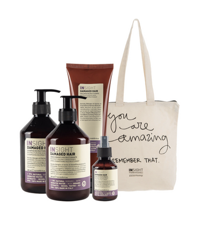 InSight Professional Organic Sourced Damaged Hair Restructurizing Gift Set 5 pc.