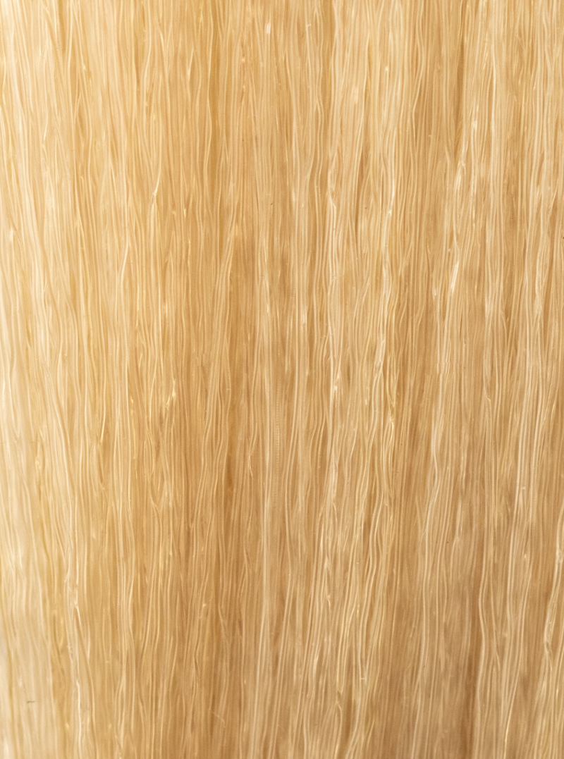 InSight Professional 10.0- Natural Extra Light Blonde 3.4 Fl. Oz. / 100 mL