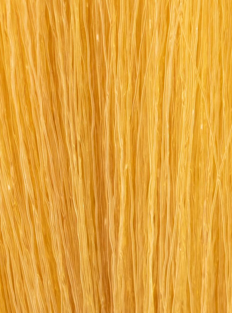 InSight Professional 9.3- Golden, Very Light Blonde 3.4 Fl. Oz. / 100 mL