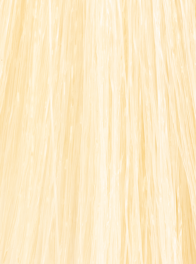 InSight Professional 90.0- Natural super bleaching blond 3.4 Fl. Oz. / 100 mL