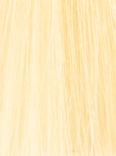 InSight Professional 90.3- Golden Super Bleaching Blond 3.4 Fl. Oz. / 100 mL
