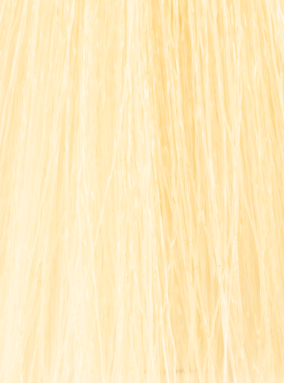 InSight Professional 90.3- Golden Super Bleaching Blond 3.4 Fl. Oz. / 100 mL