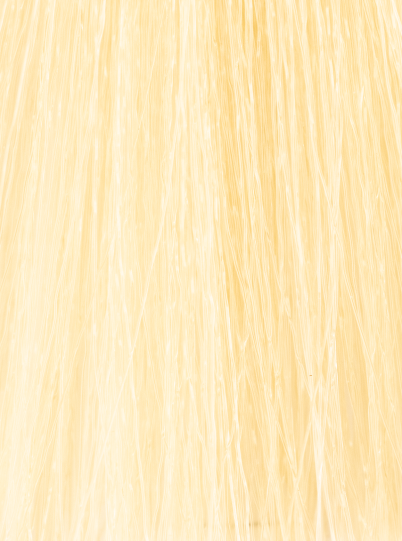InSight Professional 90.3- Golden Super Bleaching Blond 3.4 Fl. Oz. / 100 mL